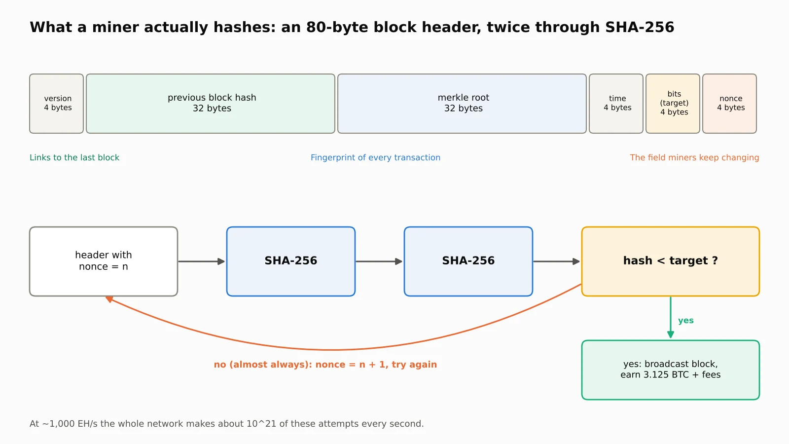 Diagram of the six fields in an 80-byte Bitcoin block header (version, previous block hash, merkle root, time, bits and nonce) feeding a double SHA-256 loop that checks whether the hash is below the target